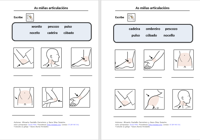 APRENDO, LEO E ESCRIBO VOCABULARIO SOBRE AS ARTICULACIÓNS.